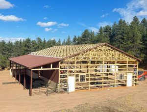 A large wooden barn structure under construction on a dirt lot, with an incomplete roof, surrounded by trees and clear blue sky—perfect inspiration if you plan to shop Douglas County for your next building project.