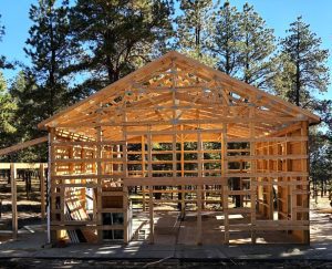A wooden house frame under construction stands on a concrete foundation in a forested area with tall pine trees in the background.