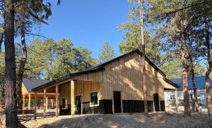 A wooden building with black trim stands among tall pine trees under a clear blue sky.