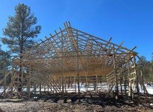 A partially constructed wooden frame of a large building stands on bare ground, with trees and patches of snow in the background under a clear blue sky.