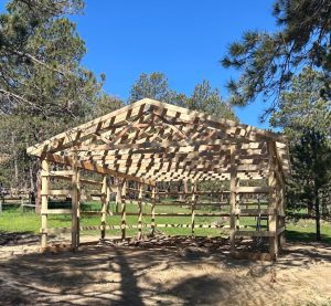 Wooden framework of a simple, rectangular open shelter under construction in a grassy, tree-filled outdoor area on a sunny day.
