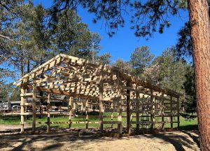 A wooden frame of a barn or shed under construction stands outdoors among pine trees on a sunny day.
