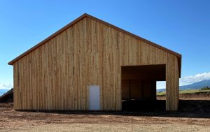 A large wooden barn with vertical planks, a peaked roof, a white door, and a wide open entrance, standing on bare ground under a clear blue sky.