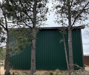 A green metal-sided building with a peaked roof stands between two tall pine trees, with overcast sky in the background.