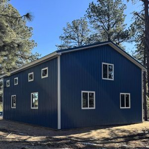 A blue metal building with white-trimmed windows stands among tall pine trees under a clear sky.