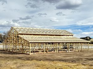 IMG 3012 - Elp-30x60x16-261136