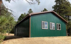 A green metal-sided building with three windows stands on a sandy, dirt lot surrounded by tall pine trees under a cloudy sky.