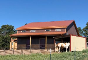 A brown barn with a red roof stands in the background while a white and brown horse stands under a small shelter in the foreground.