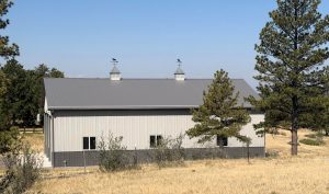 A gray metal barn with two cupolas sits in a dry, grassy field surrounded by pine trees under a clear blue sky.