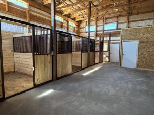 Interior of a clean horse stable with several empty wooden stalls, metal bars, concrete floor, and two closed white doors on the right.
