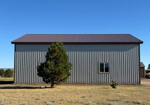 A metal building with a dark roof stands on a grassy lot, featuring two windows. A medium pine tree and a small pine tree are in front. The sky is clear and blue.
